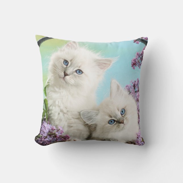 White Kitten Decorative Kissen (Vorderseite)
