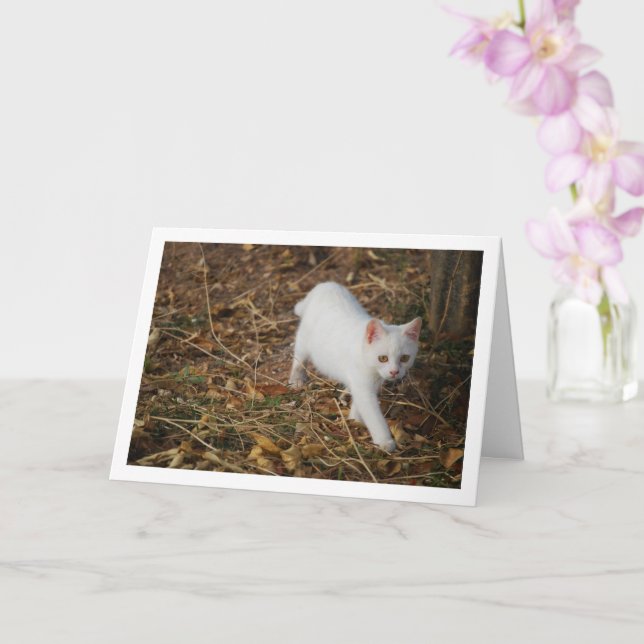 White Kitten im Forest Portrait Karte (Orchidee)