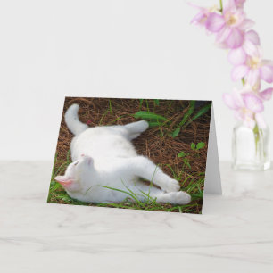 White Kitten on Pine Needles Karte