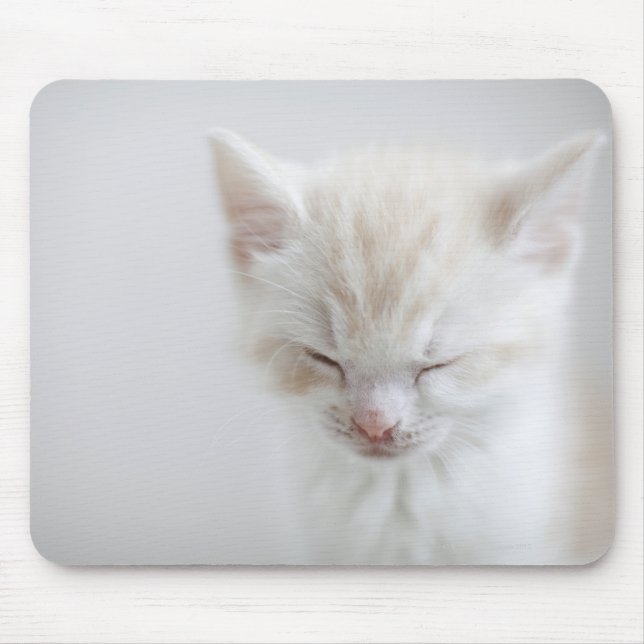 White Kitten Schlafen Mousepad (Vorne)