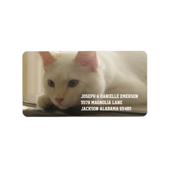 White Kitty Address Labels Adressaufkleber (Vorne)