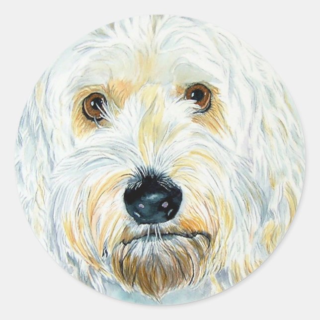 White Labradoodle Maggie Stickers (Vorderseite)