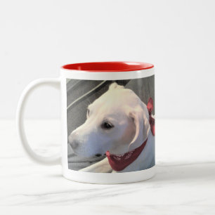 White Labrador Retriever Mix Hund mit Red Scarf tr Zweifarbige Tasse