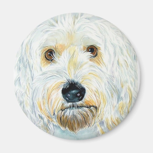 White Labrdoodle Maggie Magnet (Vorne)