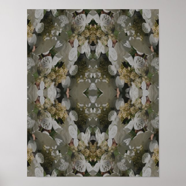 White Lacecap Hydrangea Floral Mirror Abstrakt Poster (Vorne)