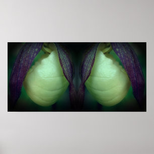 White Lady Slipper Orchid Blume Mirror Abstrakt Poster