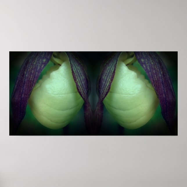 White Lady Slipper Orchid Blume Mirror Abstrakt Poster (Vorne)