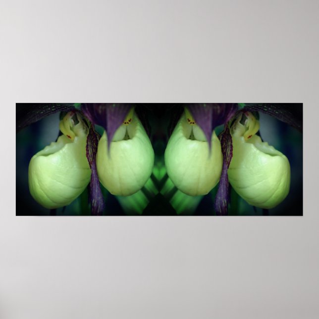 White Lady Slipper Orchid Blume Mirror Abstrakt Poster (Vorne)