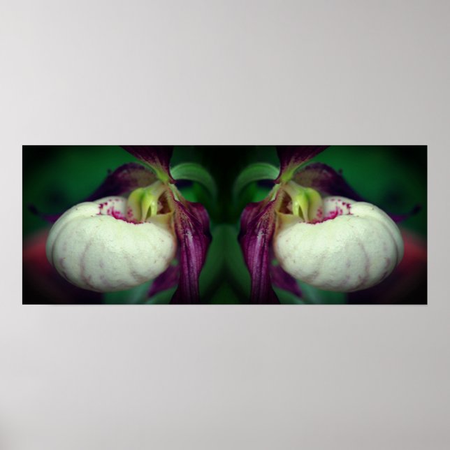 White Lady Slipper Orchid Blume Mirrored Poster (Vorne)