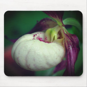 White Lady Slipper Orchid Blume Mousepad