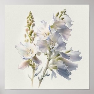 White Larkspur Blume Art Print Poster