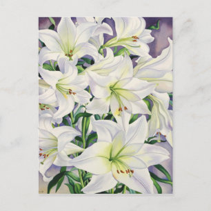 White Lilies 2008 Postkarte