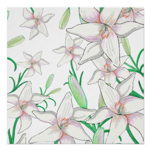 White Lilies Illustration Poster