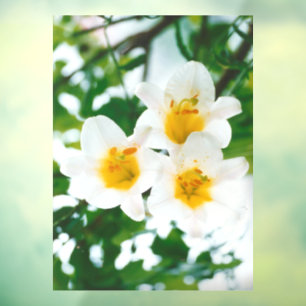 White Lilies - Lily Blume Lilium candidum Fensteraufkleber