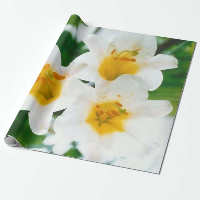 White Lilies - Lily Blume Lilium candidum Geschenkpapier (Ungerollt)