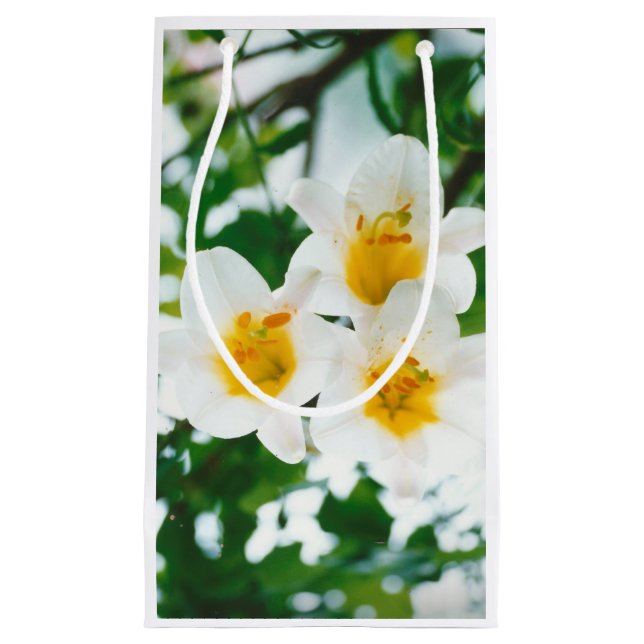 White Lilies - Lily Blume Lilium candidum Kleine Geschenktüte (Vorderseite)