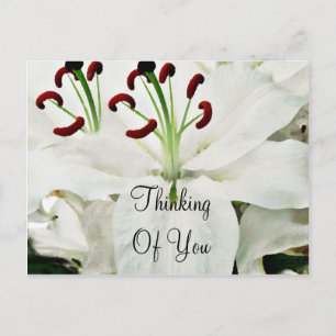 White Lilies_ Postkarte