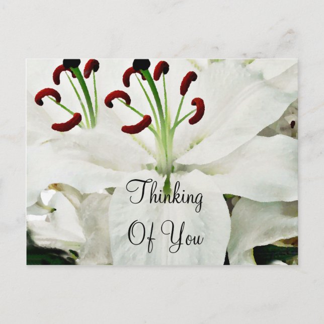 White Lilies_ Postkarte (Vorderseite)