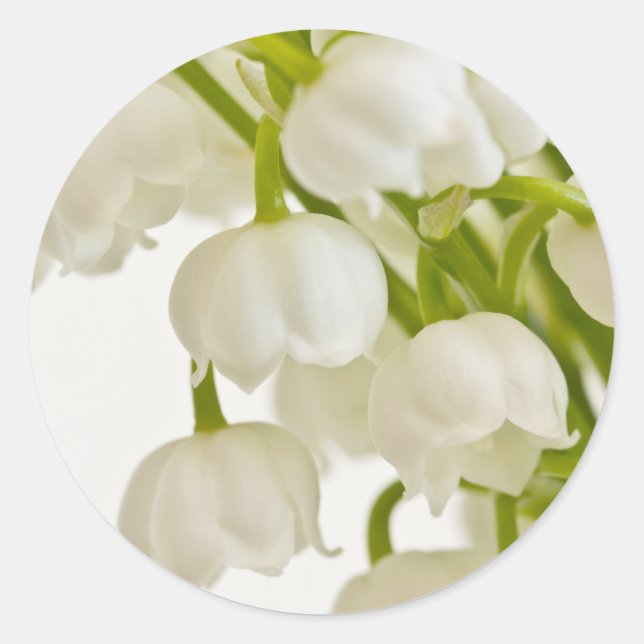 White Lilies Runder Aufkleber (Vorderseite)