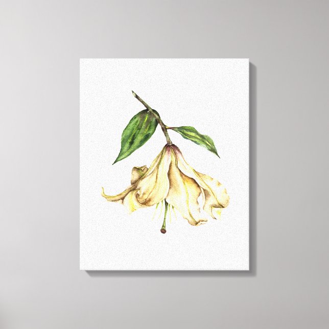 White Lily Leinwanddruck (Vorderseite)