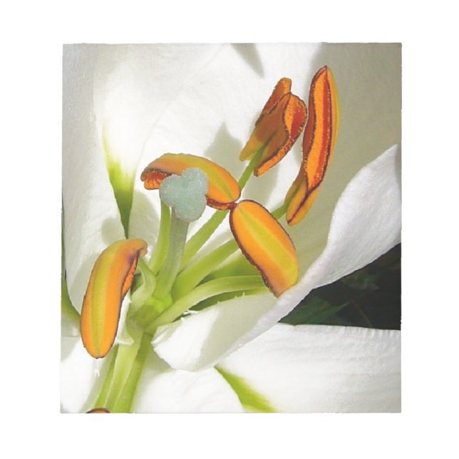 White Lily Notizblock (Vorderseite)