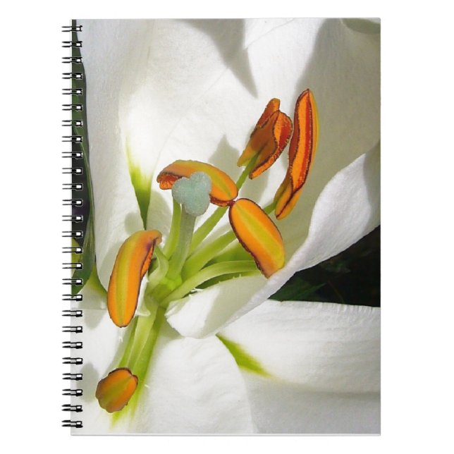 White Lily Notizblock (Vorderseite)