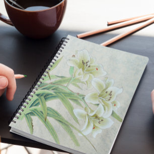 White Lily Planer