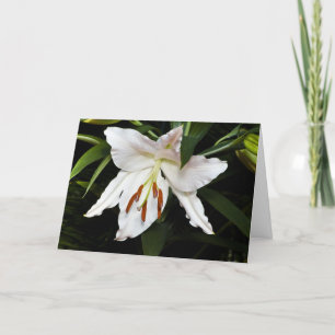White Lily Sympathy Card Karte