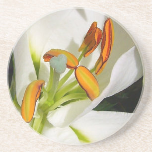 White Lily Untersetzer