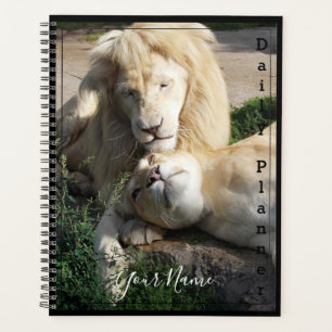 White Lions - Täglicher Planer- HAMbWG Planer