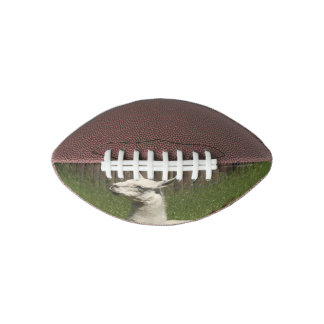 White Llama Football