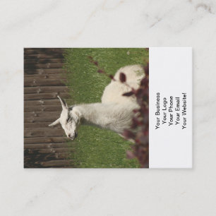 White Llama Visitenkarte