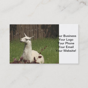 White Llama Visitenkarte