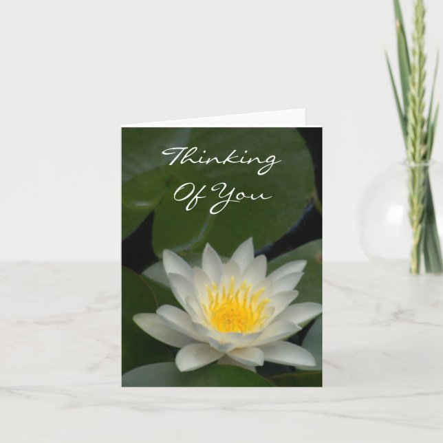 WHITE LOTUS BLOSSOM KARTE (Vorderseite)