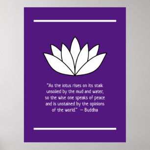 White Lotus Blume und Buddha Zitat Poster