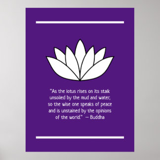 White Lotus Blume und Buddha Zitat Poster