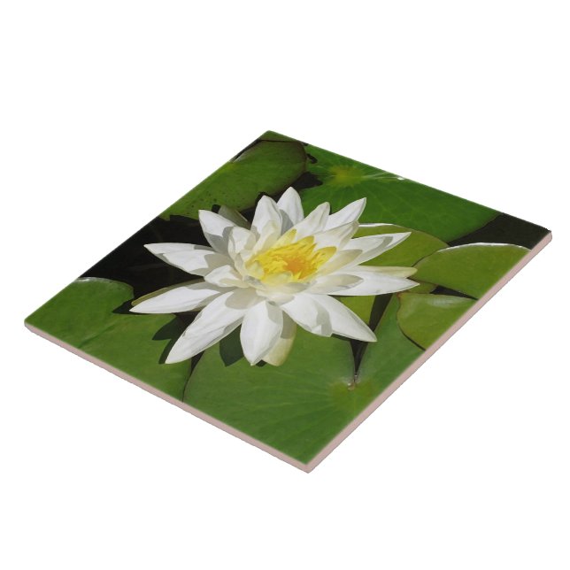 White Lotus Fliese (Seite)