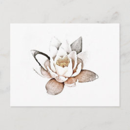 WHITE LOTUS POSTCARD POSTKARTE