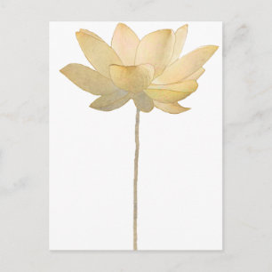 White Lotus Postcard Postkarte