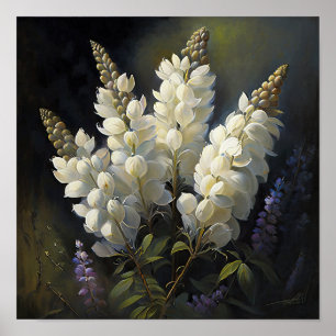 White Lupine Blume Art Print Poster