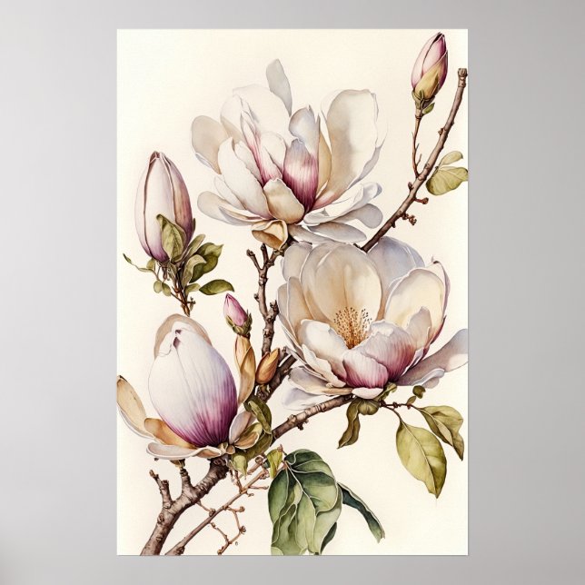 White Magnolia Blume Art Print Poster (Vorne)