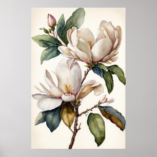 White Magnolia Blume Art Print Poster
