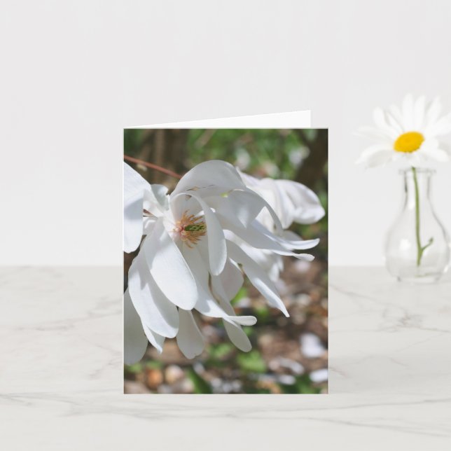 White Magnolia Flower Personalized Note Karte (Kleine Pflanze)