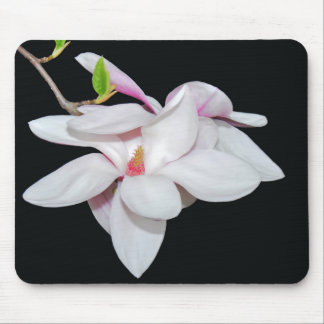 White Magnolia Mousepad
