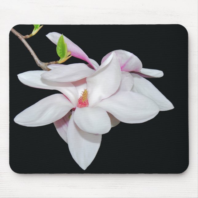 White Magnolia Mousepad (Vorne)