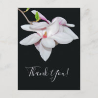 White Magnolia
