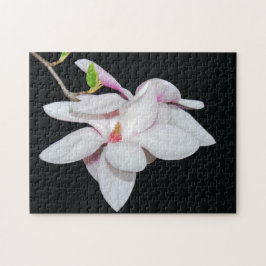 White Magnolia Puzzle