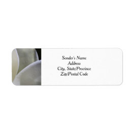 White Magnolia Wedding Rücksendeadressen-Aufkleber