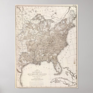 White Male Illiteracy Poster