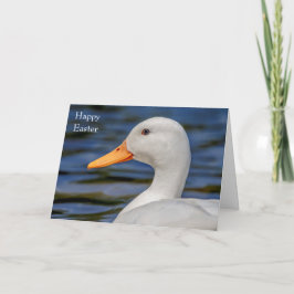 White Mallard Duck Feiertagskarte